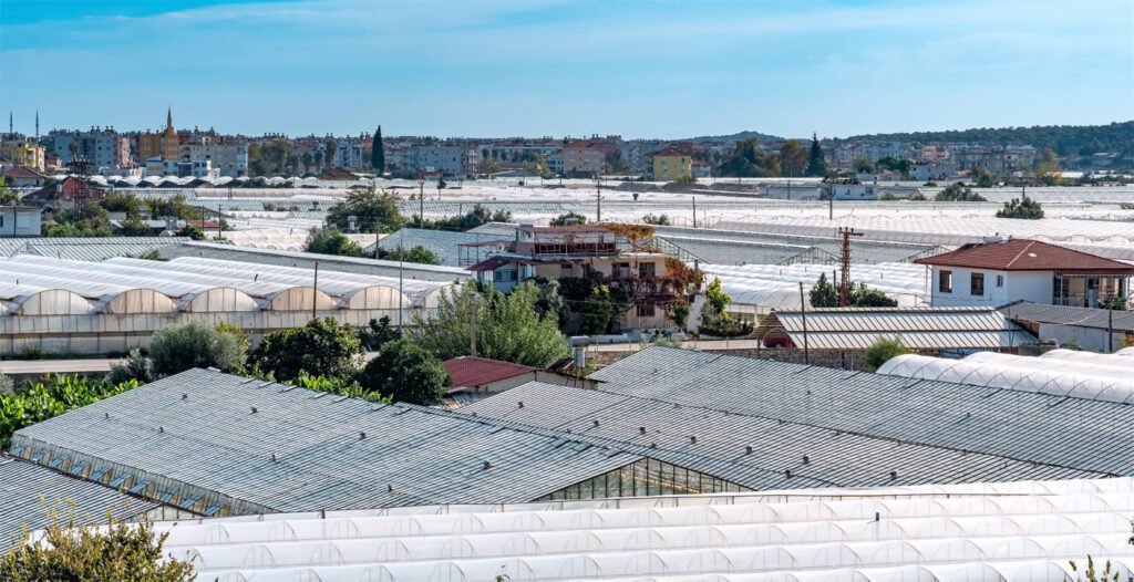 Commercial-roof-img
