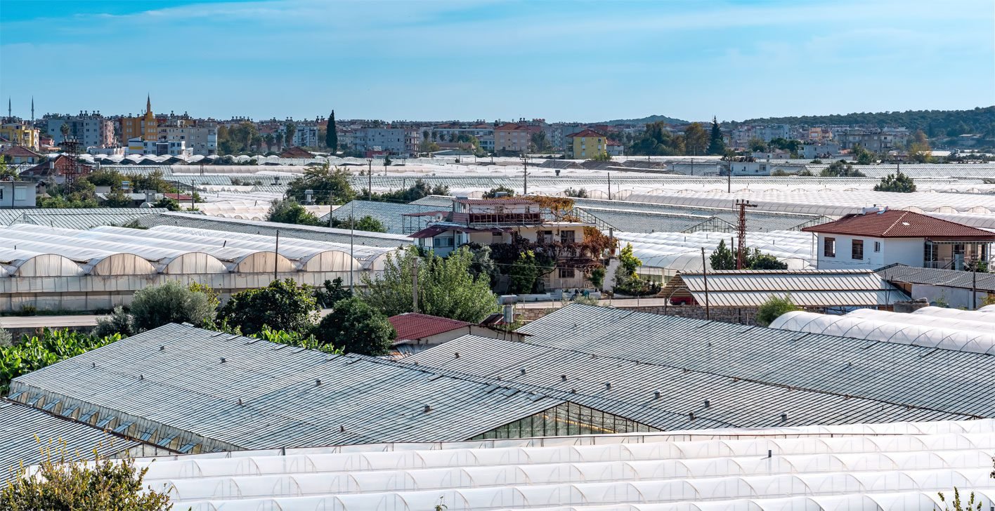 Commercial-roof-img